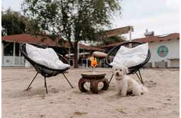 Itt a 2025-ös lista a kutyás fürdetőhelyekről! Itt a 2025-ös lista a kutyás fürdetőhelyekről!