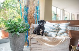 5+1 kutyabarát szállás télre 5+1 kutyabarát szállás télre