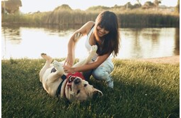 A kutyák is lehetnek csiklandósak? A kutyák is lehetnek csiklandósak?