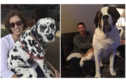 Miért ül rám a kutyám? Miért ül rám a kutyám?