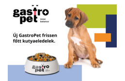 Új fejezet a tudatos kutyatáplálásban: megérkezett a GastroPet Új fejezet a tudatos kutyatáplálásban: megérkezett a GastroPet