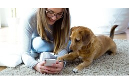 Felismeri a kutyám a hangomat a telefonban? Felismeri a kutyám a hangomat a telefonban?