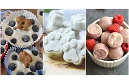 Hűsítő finomságok kutyáknak - 3 jeges recept a forró nyári napokra Hűsítő finomságok kutyáknak - 3 jeges recept a forró nyári napokra