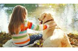 Így segíthetsz kutyádnak, hogy még jobban érezze magát a mindennapokban Így segíthetsz kutyádnak, hogy még jobban érezze magát a mindennapokban