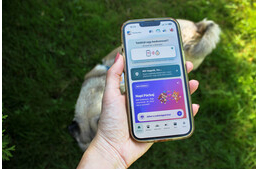 Egy elveszett kutya miatt készült a magyar app, ami közösséget épít az állatok biztonságáért Egy elveszett kutya miatt készült a magyar app, ami közösséget épít az állatok biztonságáért