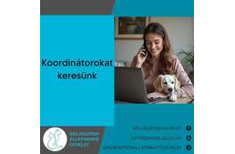 Koordinátorokat keres a Szilveszteri Állatmentő Ügyelet Koordinátorokat keres a Szilveszteri Állatmentő Ügyelet