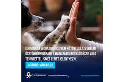 Újraindult a diplomához nem kötött állatvédelmi ösztöndíjprogram Újraindult a diplomához nem kötött állatvédelmi ösztöndíjprogram