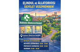 Állatorvosi ügyelet indul Veszprémben Állatorvosi ügyelet indul Veszprémben