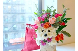 Kutyás a barátnőd? Lepd meg kutyás virágcsokorral! Kutyás a barátnőd? Lepd meg kutyás virágcsokorral!