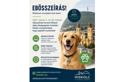 Ebösszeírás Miskolcon, a mulasztók büntetésre számíthatnak Ebösszeírás Miskolcon, a mulasztók büntetésre számíthatnak
