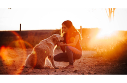 A gazdi lét legnehezebb pillanata - Hogyan készüljünk az eutanáziára? A gazdi lét legnehezebb pillanata - Hogyan készüljünk az eutanáziára?