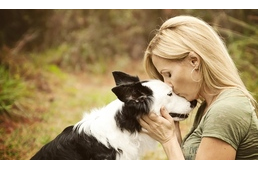 Felnőtt kutyát fogadnál örökbe? Van 10 érvünk mellette! Felnőtt kutyát fogadnál örökbe? Van 10 érvünk mellette!