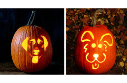 Így készíts kutyás mintájú halloween tököt Így készíts kutyás mintájú halloween tököt